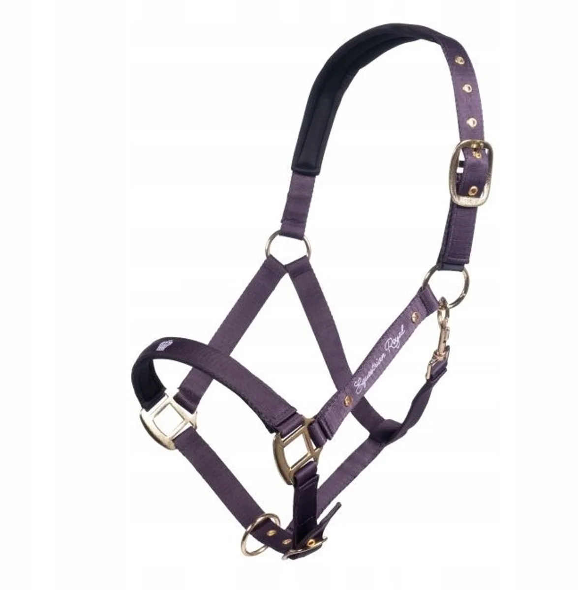 Kantra Paard Lavender-Bay COB Paars - Elegant & Stijlvol de HKM – photo produit