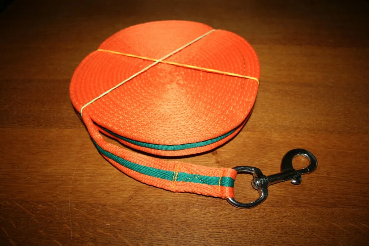 longeerlijn 8 meter - groen by HKM in Orange – product photo