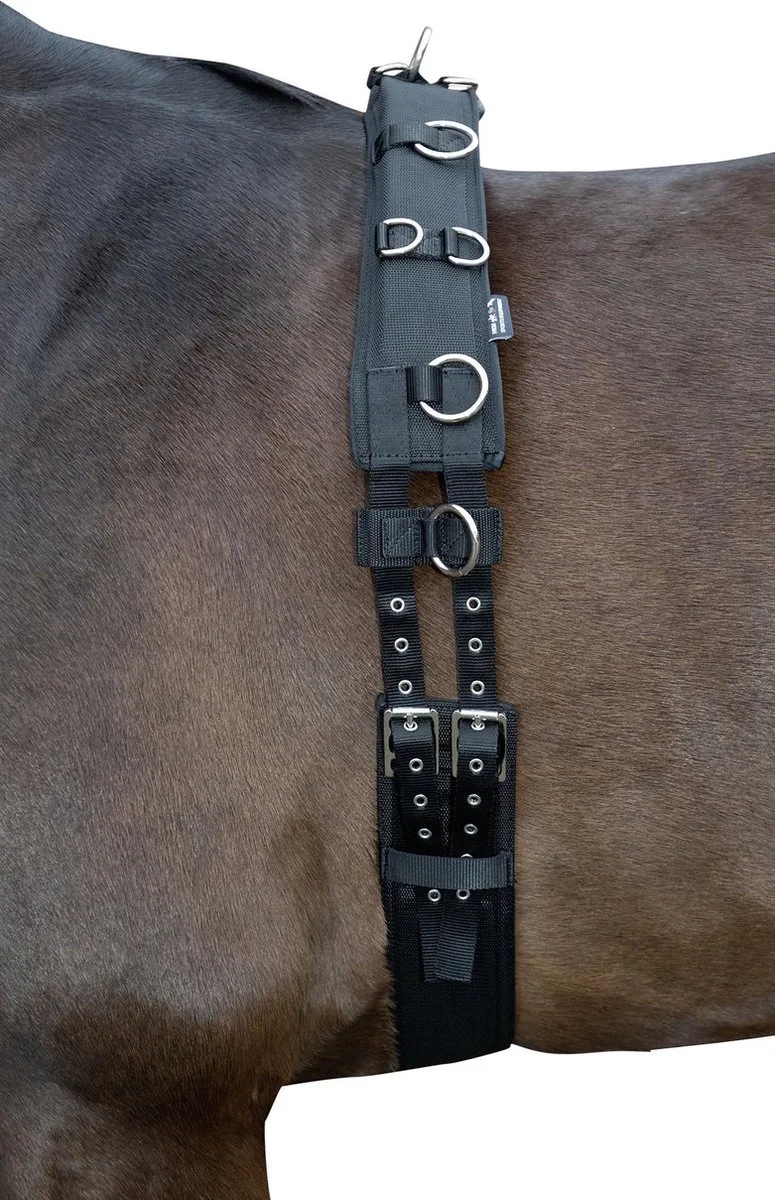Longeersingel met schoft - Paard by HKM in Black – product photo