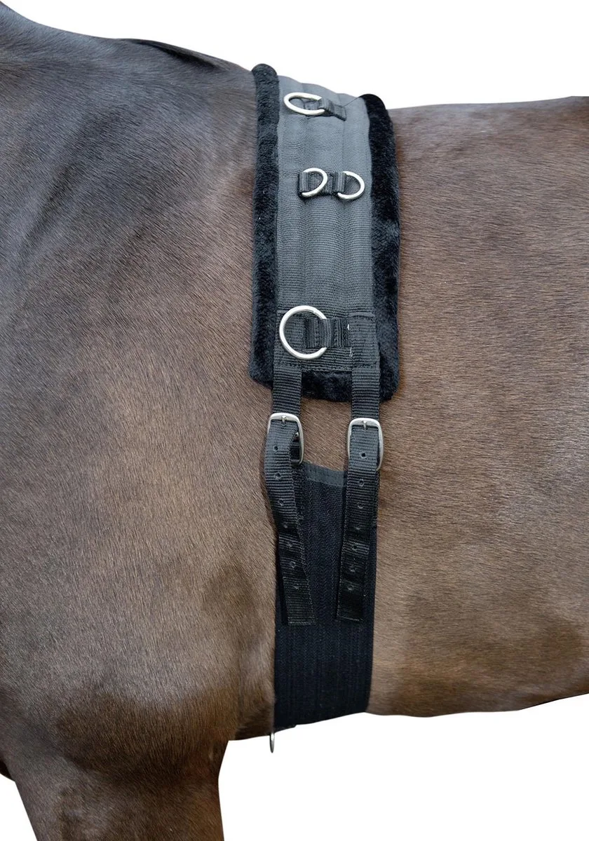 Longeersingel -Teddy- zwart/zwart Cob/Full by HKM in Black – product photo