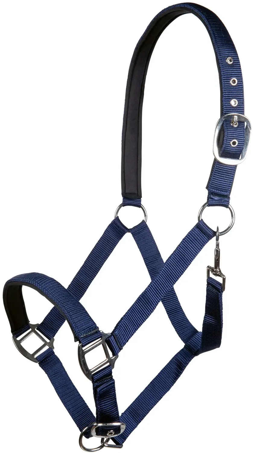 Nylon halster voor paard met zachte voering HKM Charming fra HKM i Mørkeblå – produktbillede
