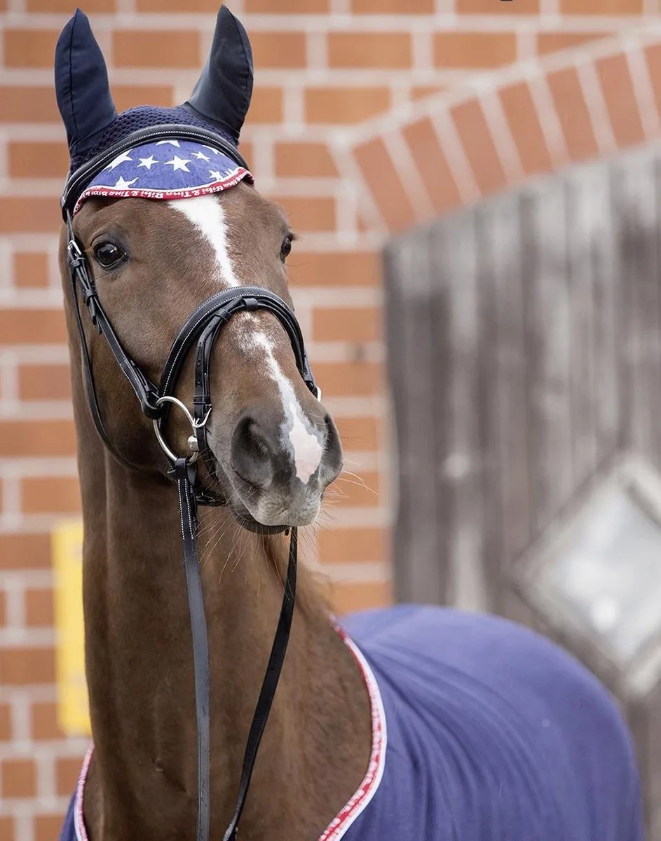 Oornet -Bibi&Tina Stars- pony by HKM in Dark blue – product photo