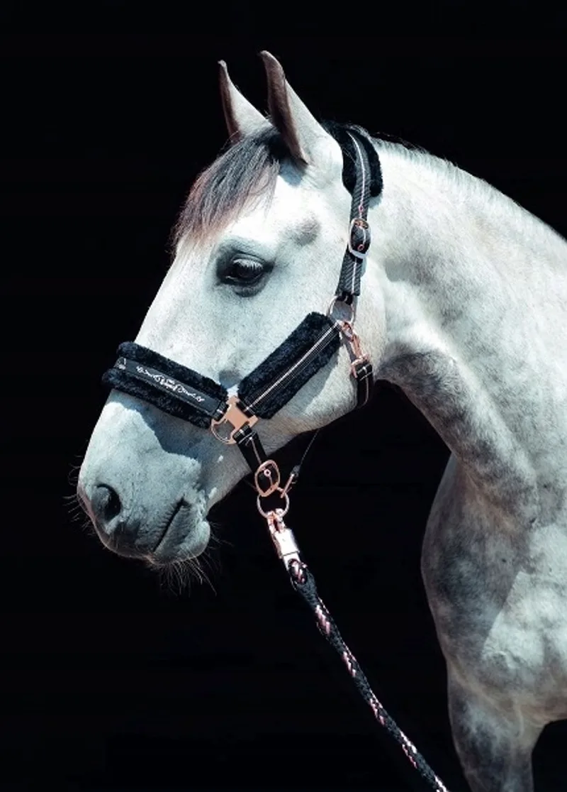 Rosegold Halster Navy Pony - Zachte Voering de HKM – photo produit