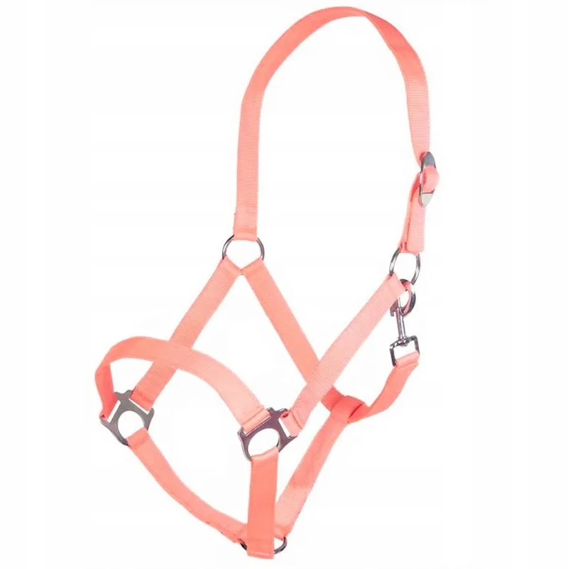 Stars Economy Hoofdstel Koraalrood VOL de HKM en Neon, Koraalrood – photo produit