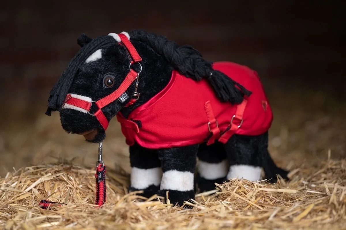 Starterset Cuddle Pony - maat One size van HKM in Rood – productfoto