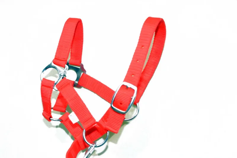 Sterk Halster voor Mini Pony - Maat 00 - Handgemaakt de HKM en Neon, Koraalrood – photo produit