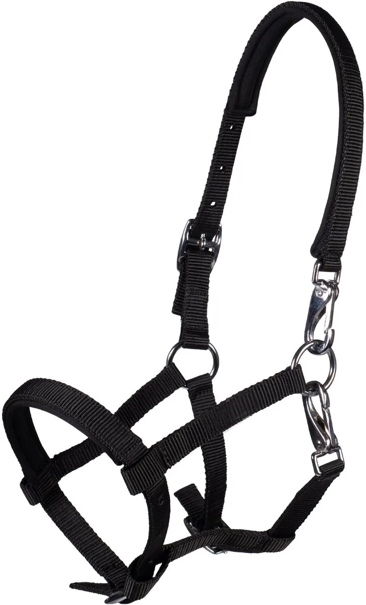 Veulenhalster Millie de HKM en Bleu foncé – photo produit