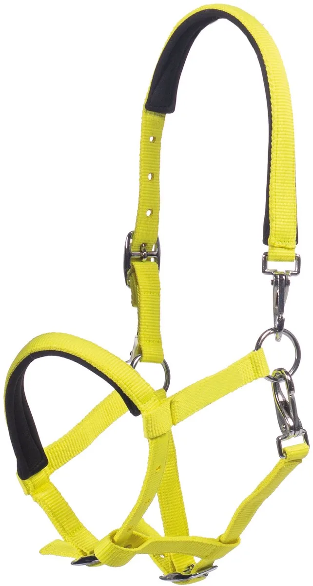 Veulenhalster Millie de HKM en Neongeel – photo produit