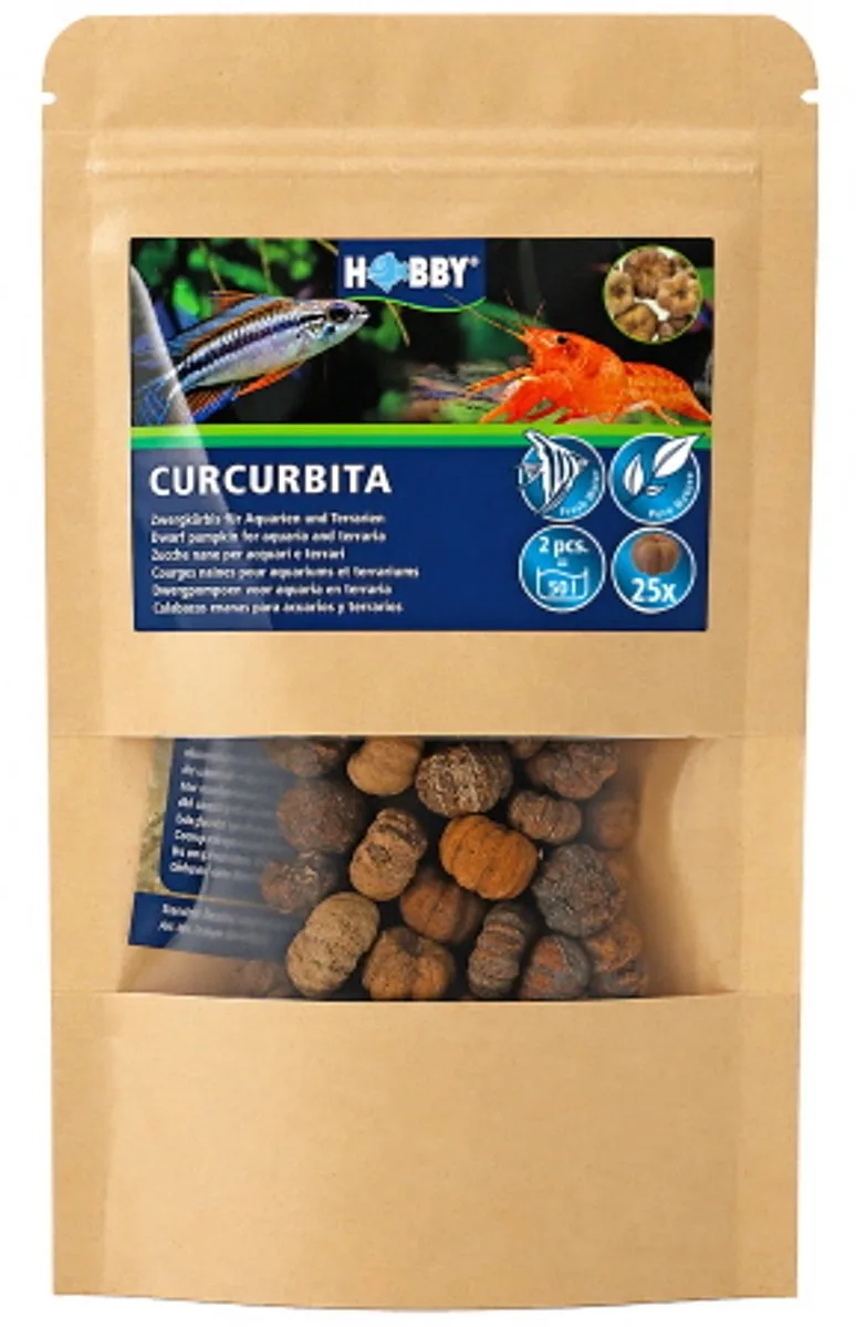 Curcurbita – Natuurlijke Mini Kalebas voor Garnalen, Dwergkreeften en Pleco's – Schuilplaats & Waterverbeteraar von Hobby – Produktfoto