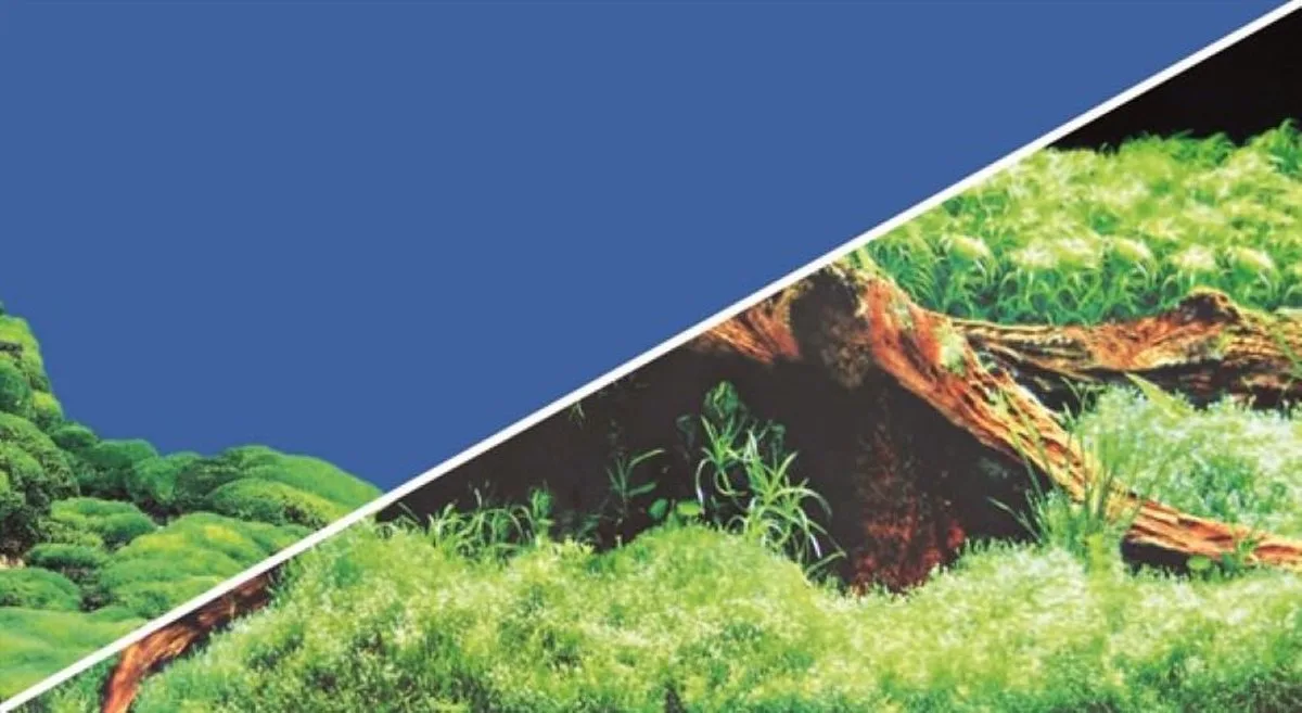 Foto Achterwand Spring/Moss 30CM x 25M från Hobby i Bekijk productafbeelding – produktbild