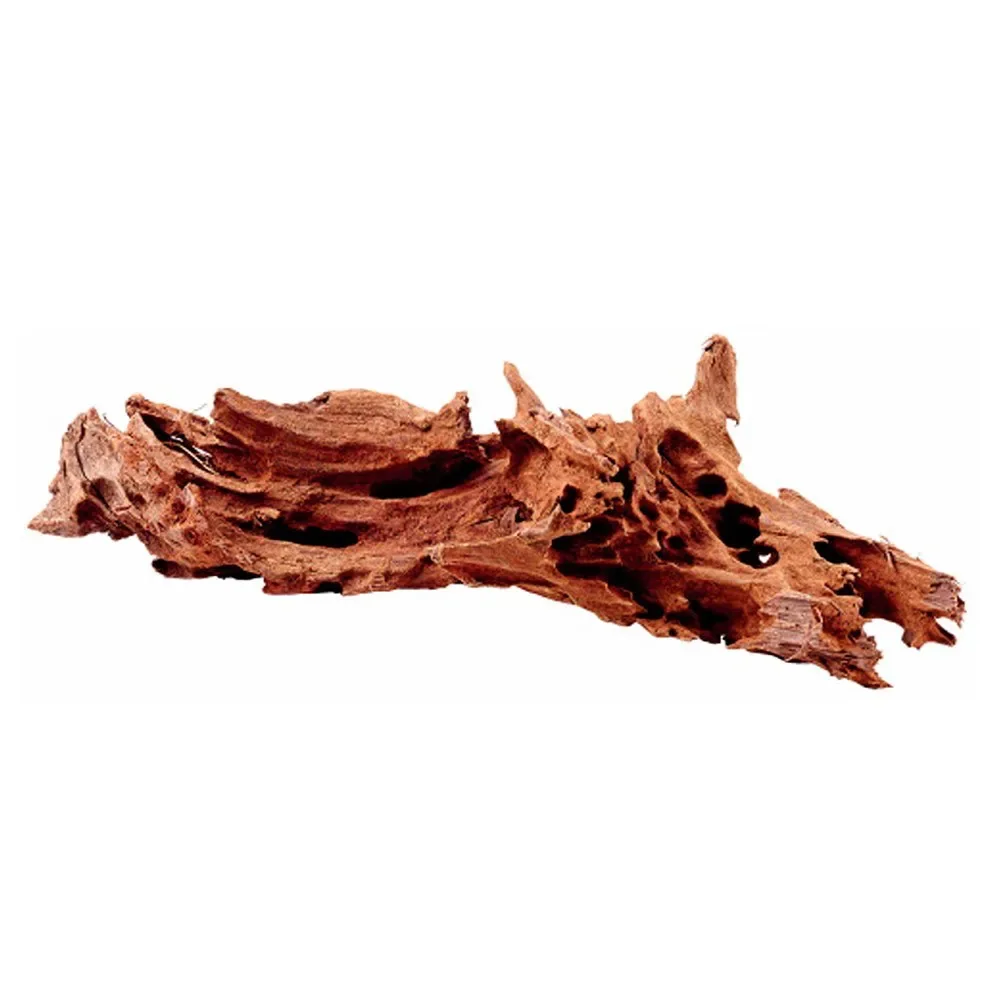 Mangrovehout 15-25cm de Hobby – photo produit