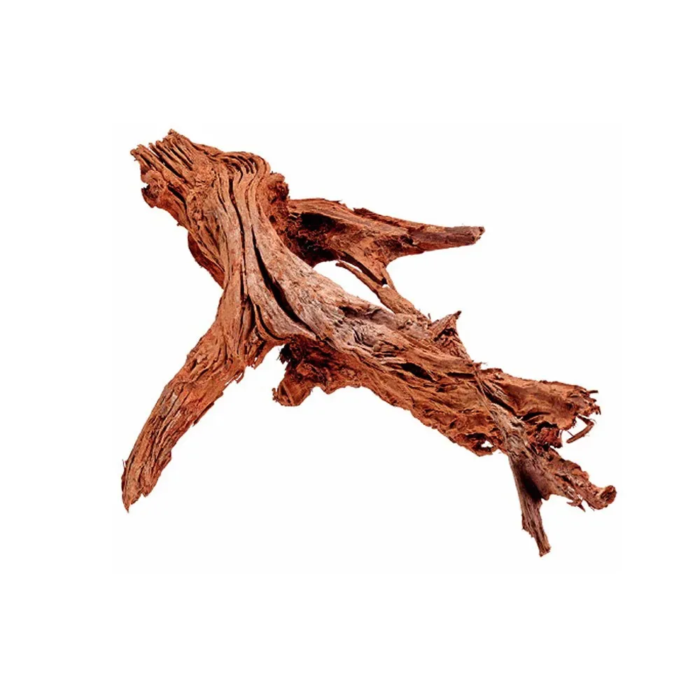 Mangrovehout 25-35cm de Hobby – photo produit