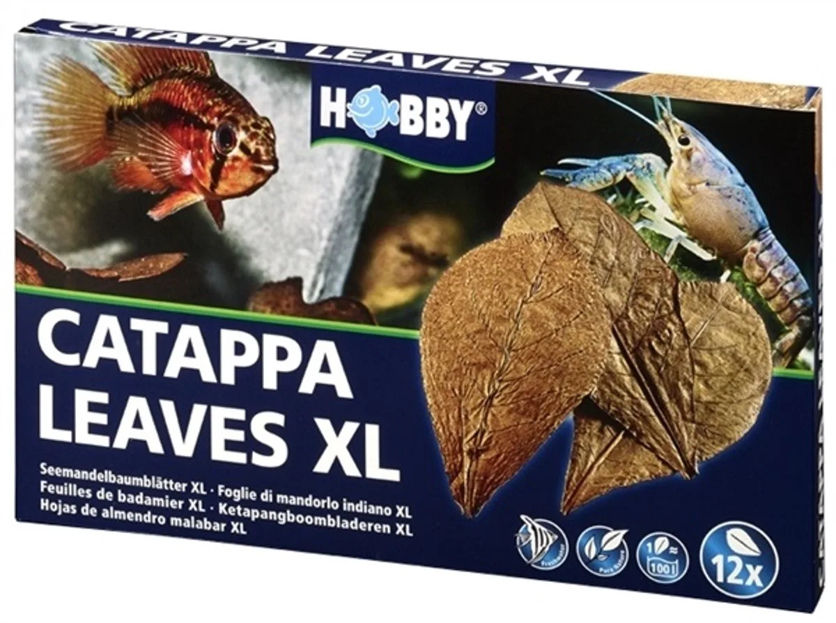 Nano catappa bladeren | 12 stuks | normaal of groot formaat Groot de Hobby en Bekijk productafbeelding – photo produit