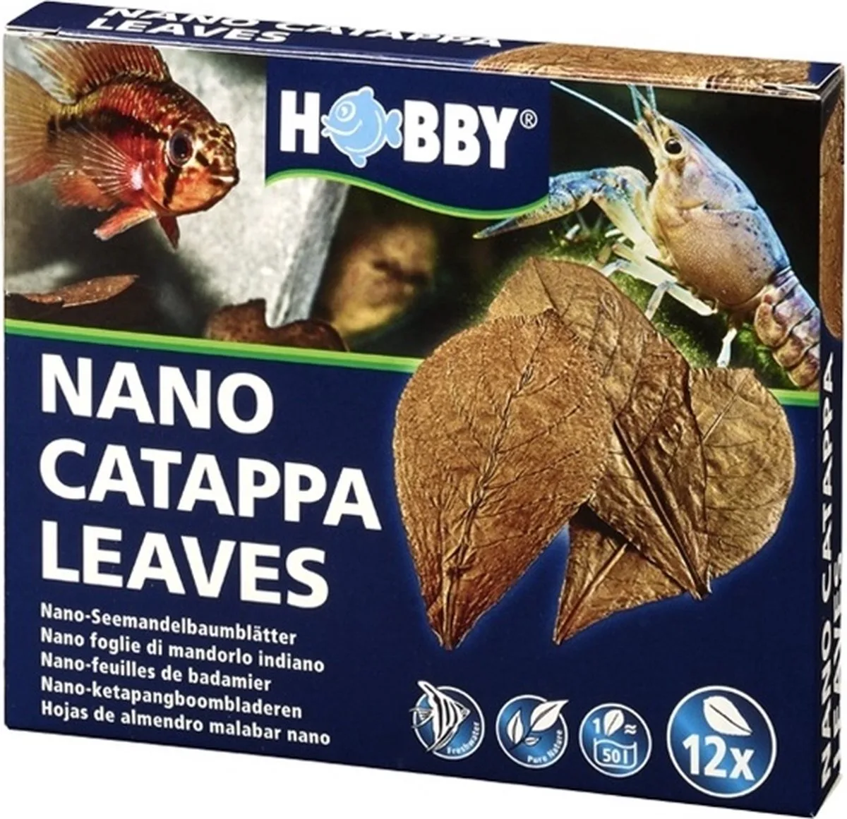 Feuilles De Catappa 12 Unités de Hobby en Bekijk productafbeelding – photo produit