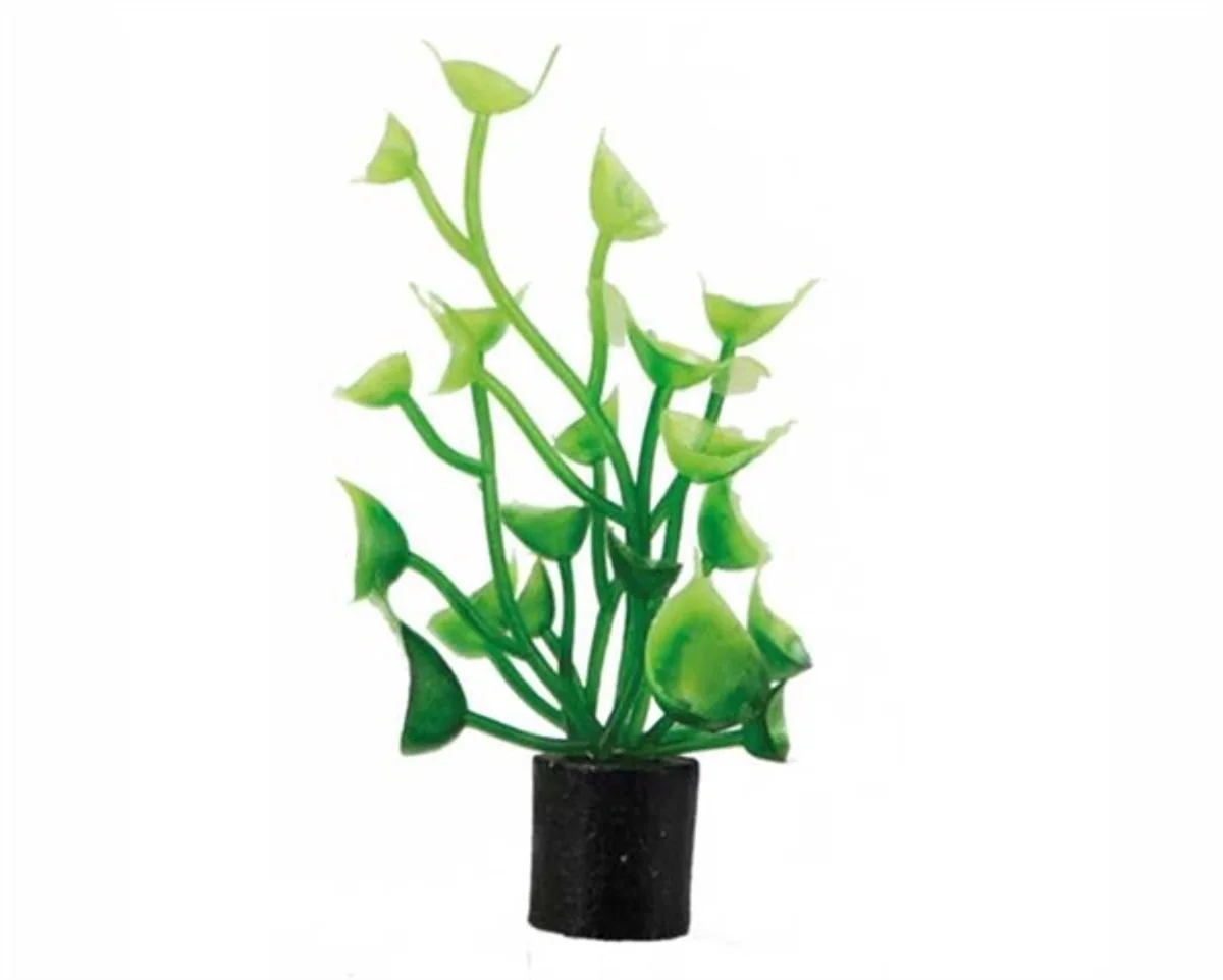 Plant Cardamine Mini de Hobby en Vert – photo produit