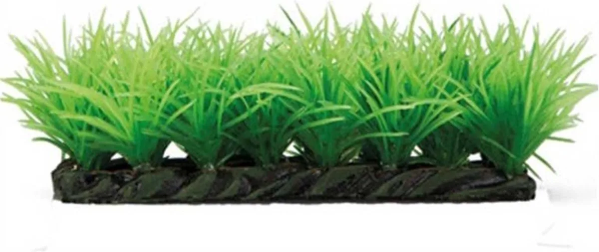 Plant Grassy Stone de Hobby en Vert – photo produit