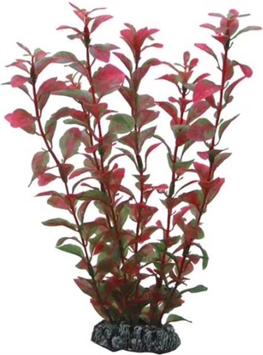 Plant Ludwigia 60CM från Hobby i Röd – produktbild