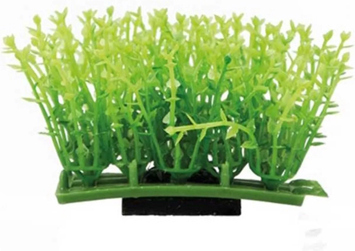 Plant Pad 1 från Hobby – produktbild