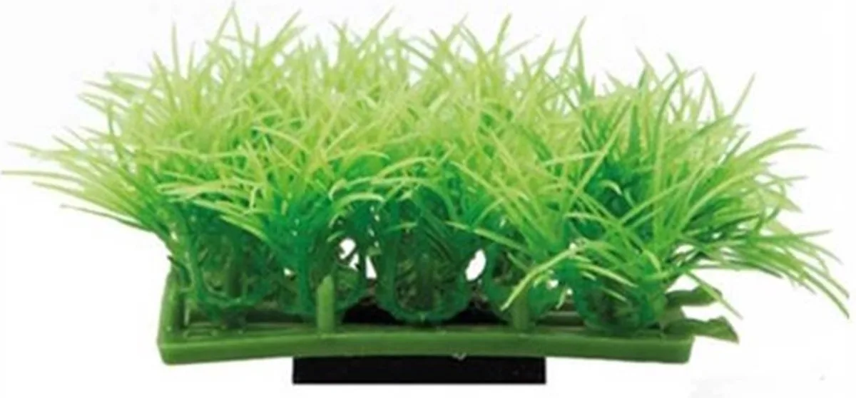 Plant Pad 2 från Hobby i Grön – produktbild