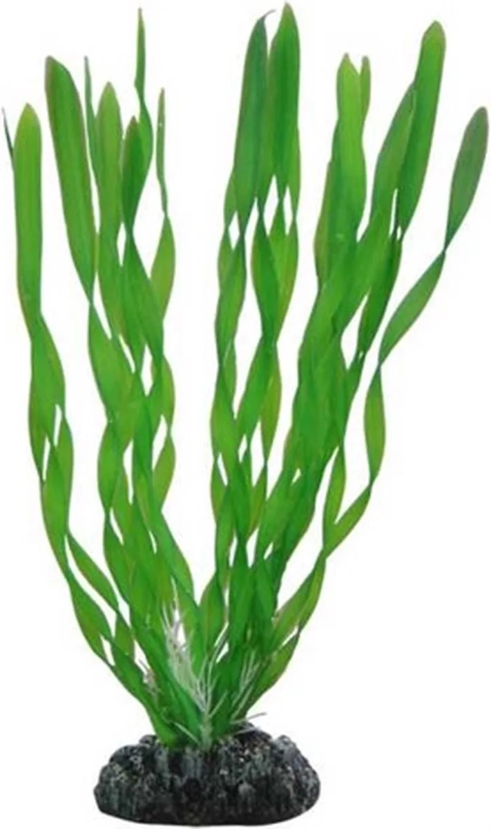 Plant Vallisneria 20CM från Hobby i Bekijk productafbeelding – produktbild
