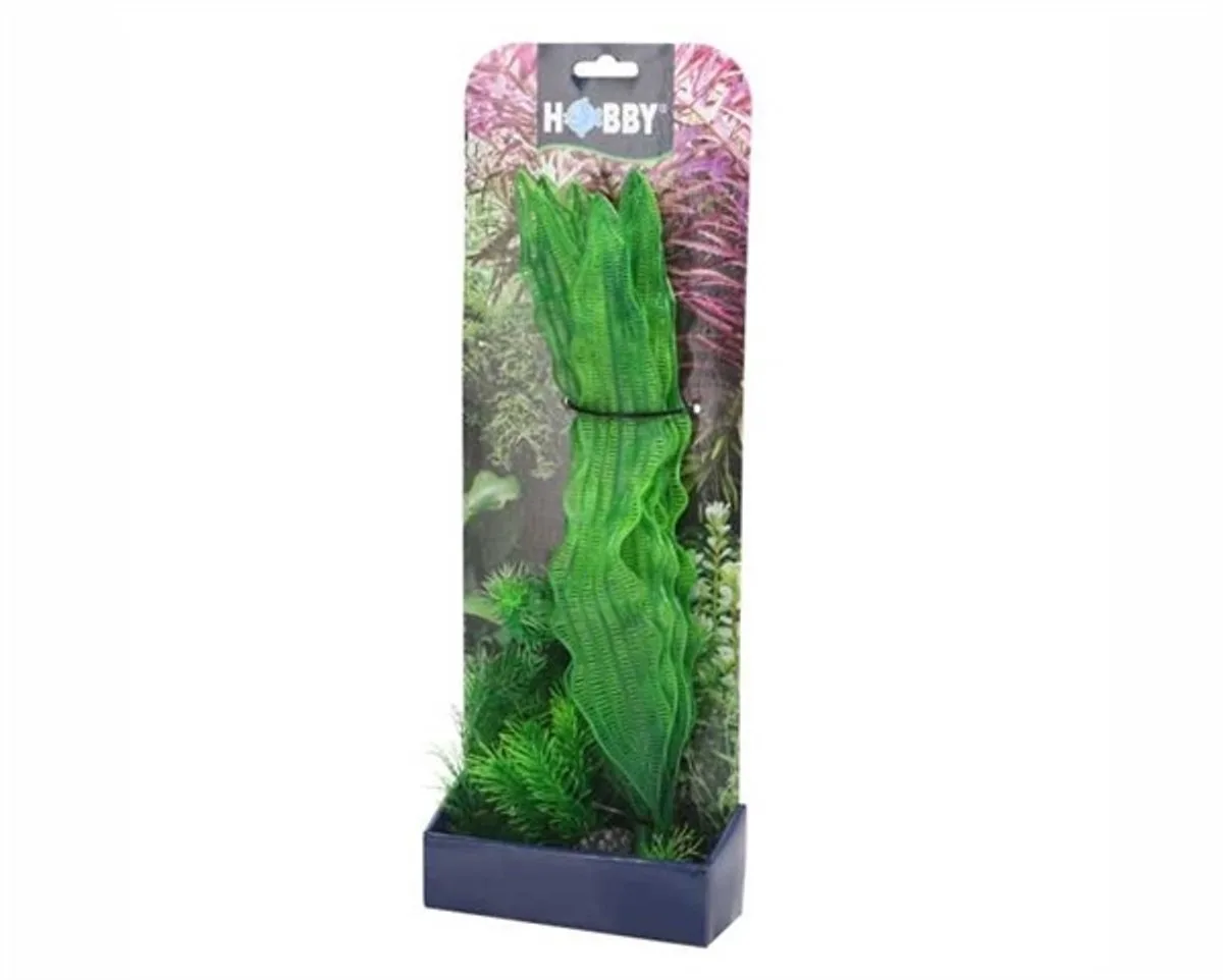 Plantasy Set 1 de Hobby en Vert – photo produit