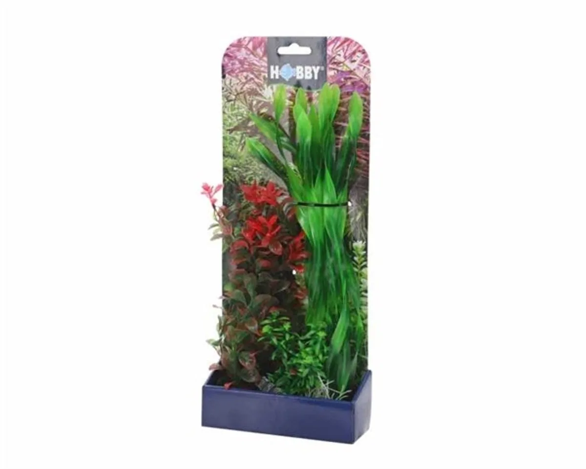 Plantasy Set 2 de Hobby en Vert – photo produit