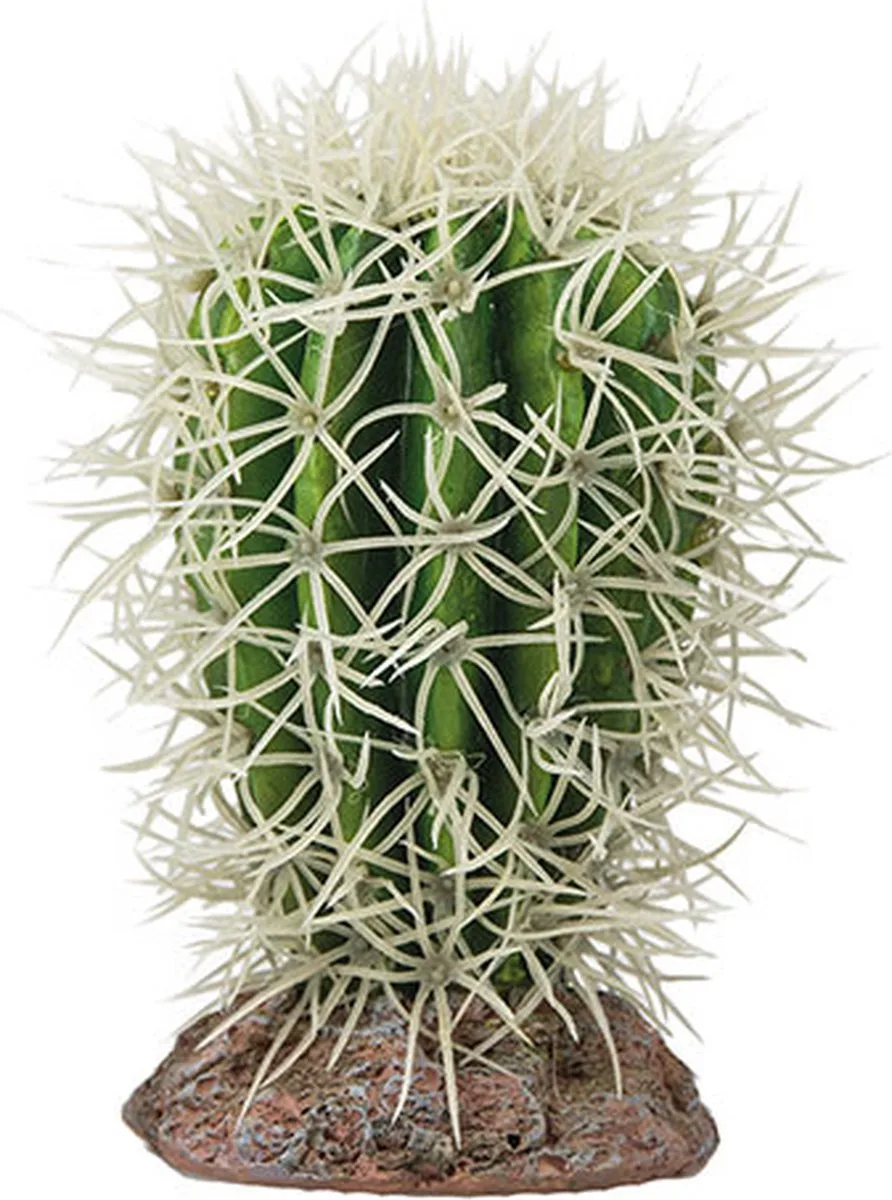 Terrano Cactus - Great Basin von Hobby in Color – Produktfoto