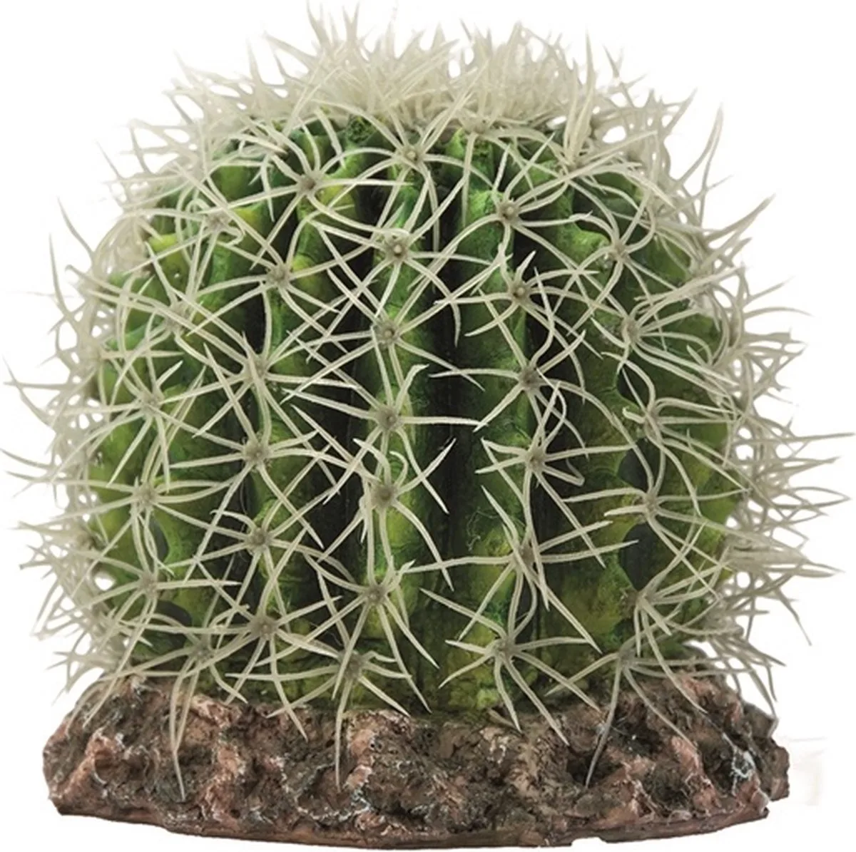 Terrano Cactus - Sonora - OPRUIMING von Hobby in Color – Produktfoto