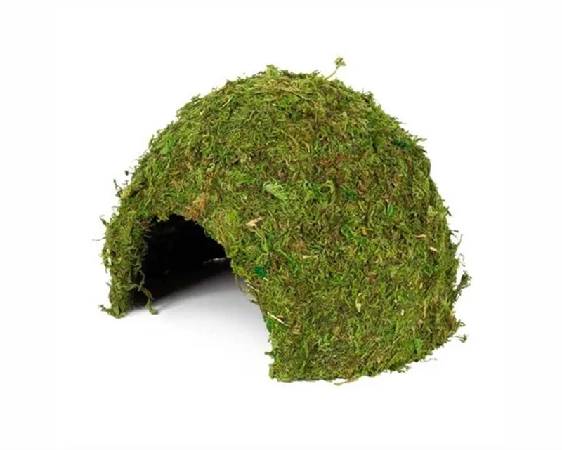 Terrarium Jungle Cave mosgrot 11-25,5 cm | natuurlijke schuilplaats voor regenwoudterrarium 11 x 11 x 9CM von Hobby in Grün – Produktfoto