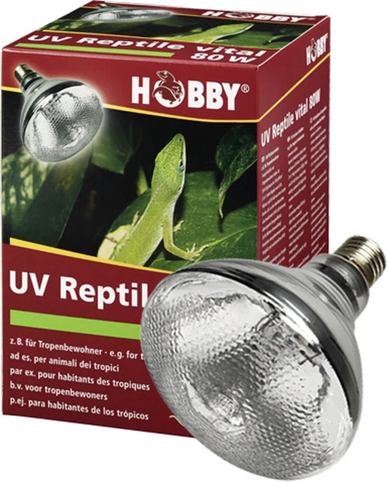 UV-Reptile Vital 80W UVB vlakstraler voor tropische reptielen de Hobby en Argent – photo produit