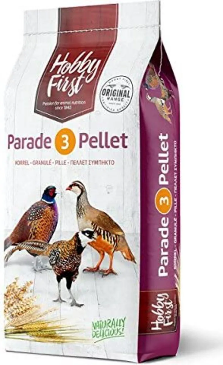 Parade 3 - Legkorrel sierhoenders von HobbyFirst – Produktfoto