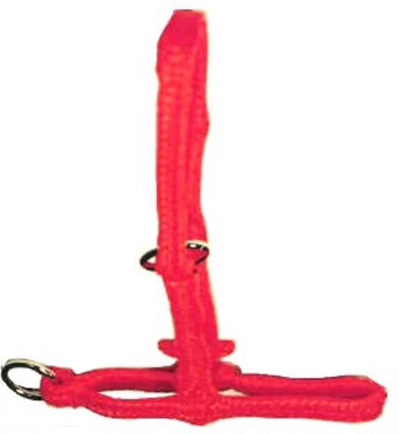 Excellent Halster Kalf Vaars - Verstelbaar - Breed - 25 x 10 x 4cm by Holland Animal Care in Orange – product photo
