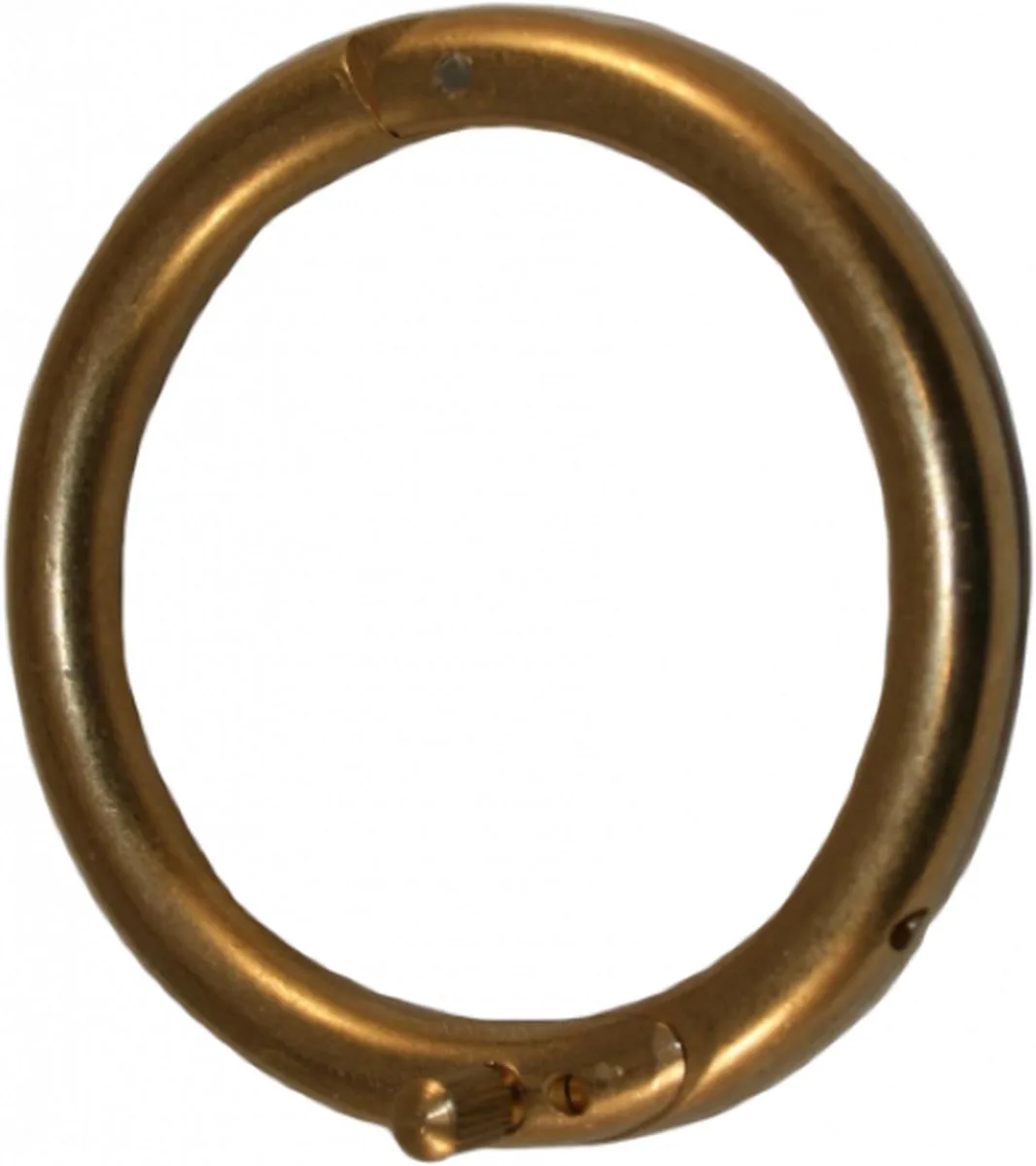 Excellent Stierring - messing - inclusief schroef - ø 61 mm - niet roestend van Holland Animal Care in Brons – productfoto