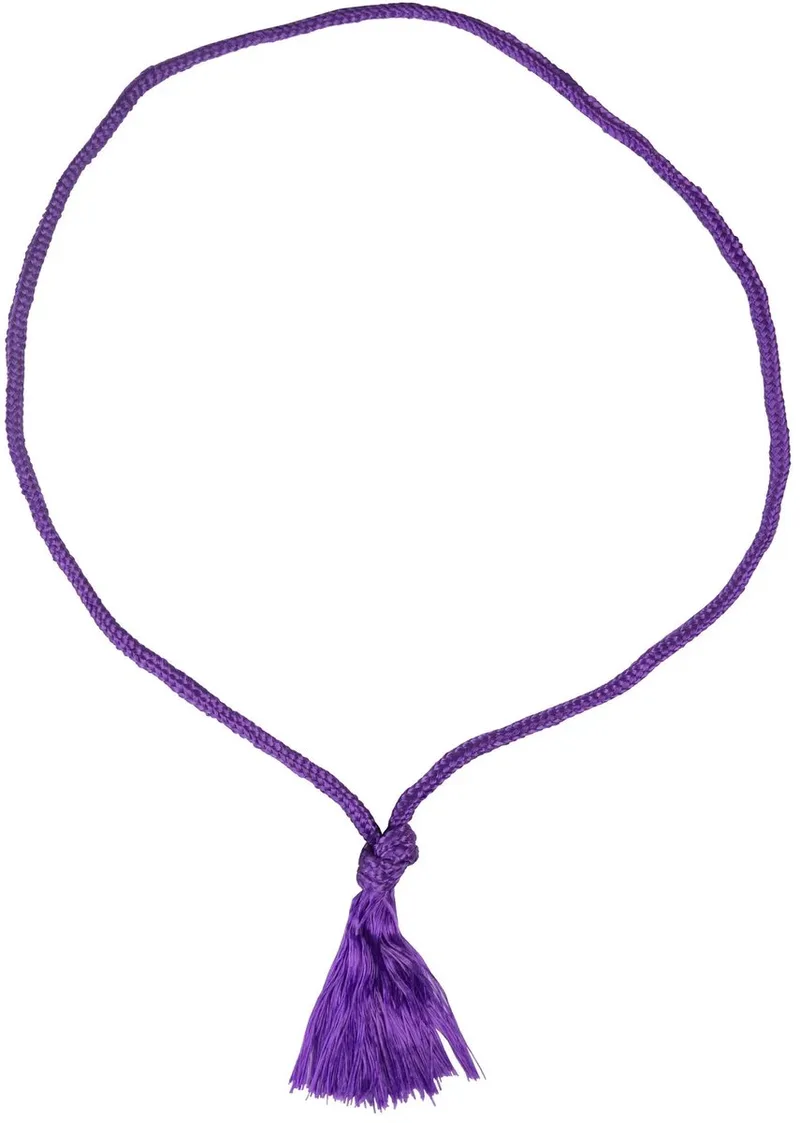 Eénkleurige halster voor paard HORKA de Horka en Violet – photo produit