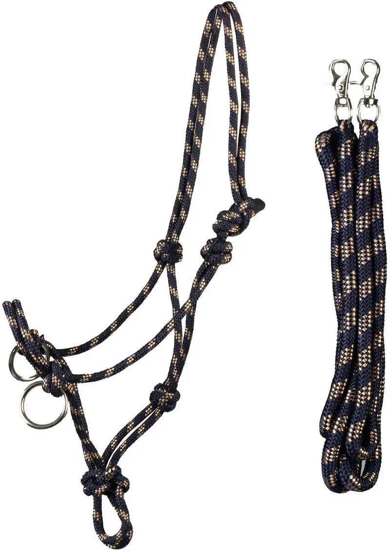 Halsband en longe voor wedstrijdpaard HORKA de Horka en Bleu – photo produit