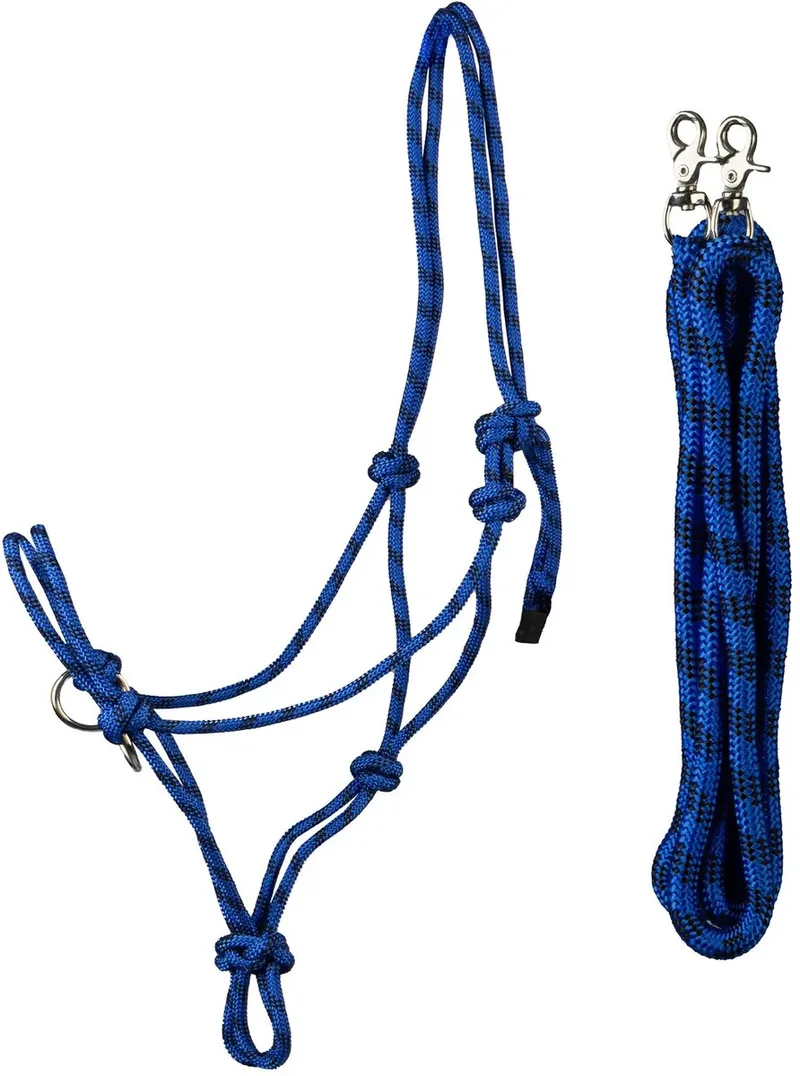Halsband en longe voor wedstrijdpaard HORKA de Horka en Koningsblauw – photo produit
