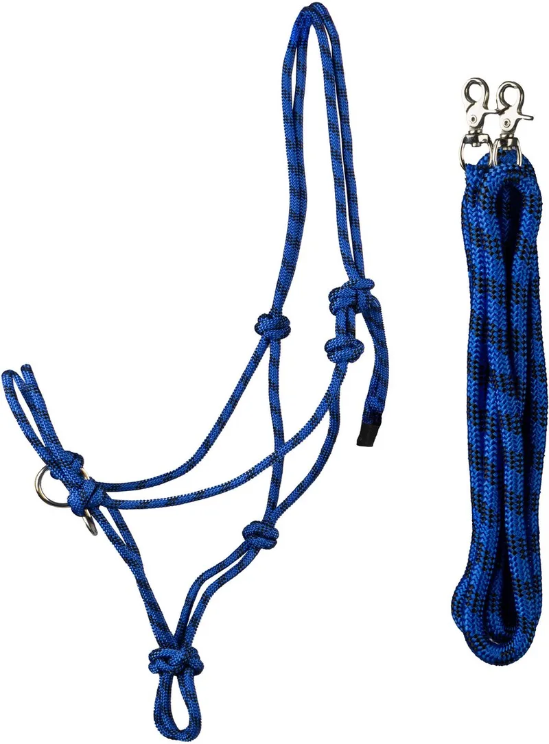 Halsband en longe voor wedstrijdpaard Horka de Horka en Koningsblauw – photo produit