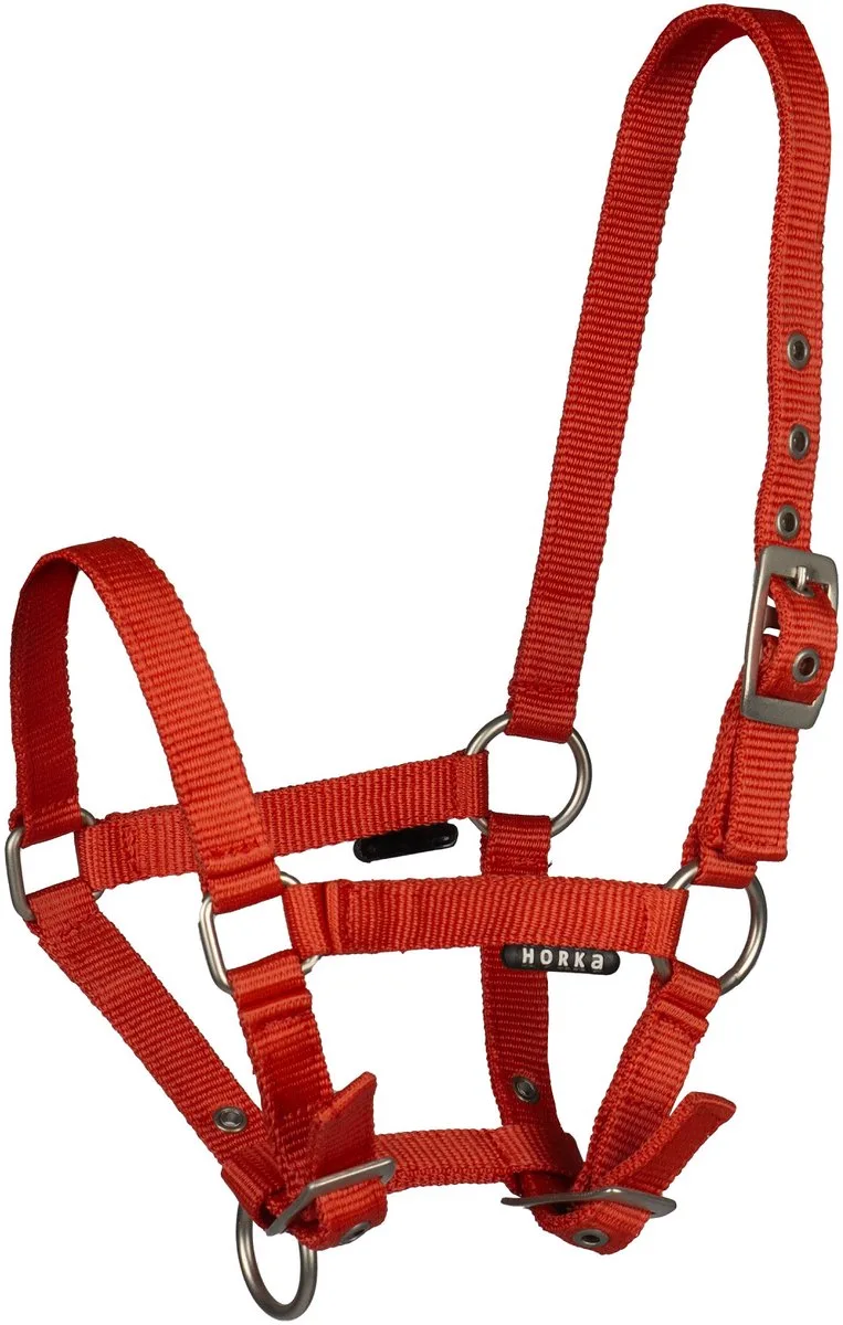 Halster Basic Veulen | Mini Shetlander von Horka in Rot – Produktfoto
