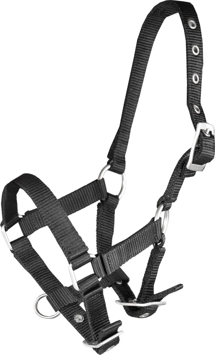 Halster Basic Veulen | Mini Shetlander de Horka en Noir – photo produit