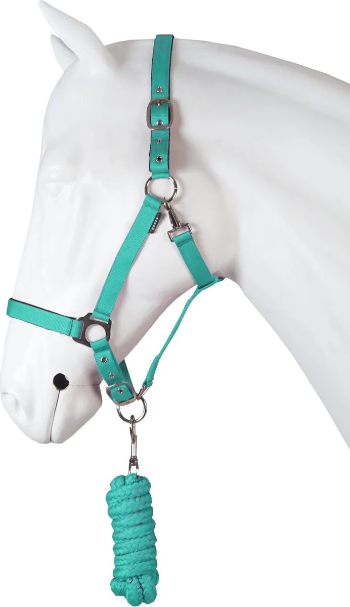 Halsterset Dime Baltic Maat Shetty de Horka en Turquoise – photo produit