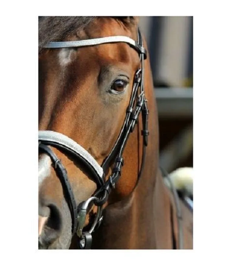 Hoofdstel Jamie maat pony van Horka in Zwart – productfoto