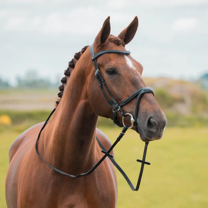 HOOFDSTEL KAPITANO COB by Horka in Black, Silver – product photo