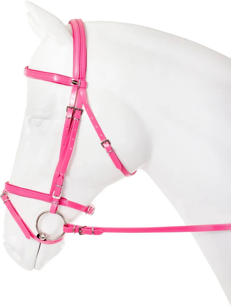 Hoofdstel Pvc Flashy - middel de Horka en Rouge – photo produit