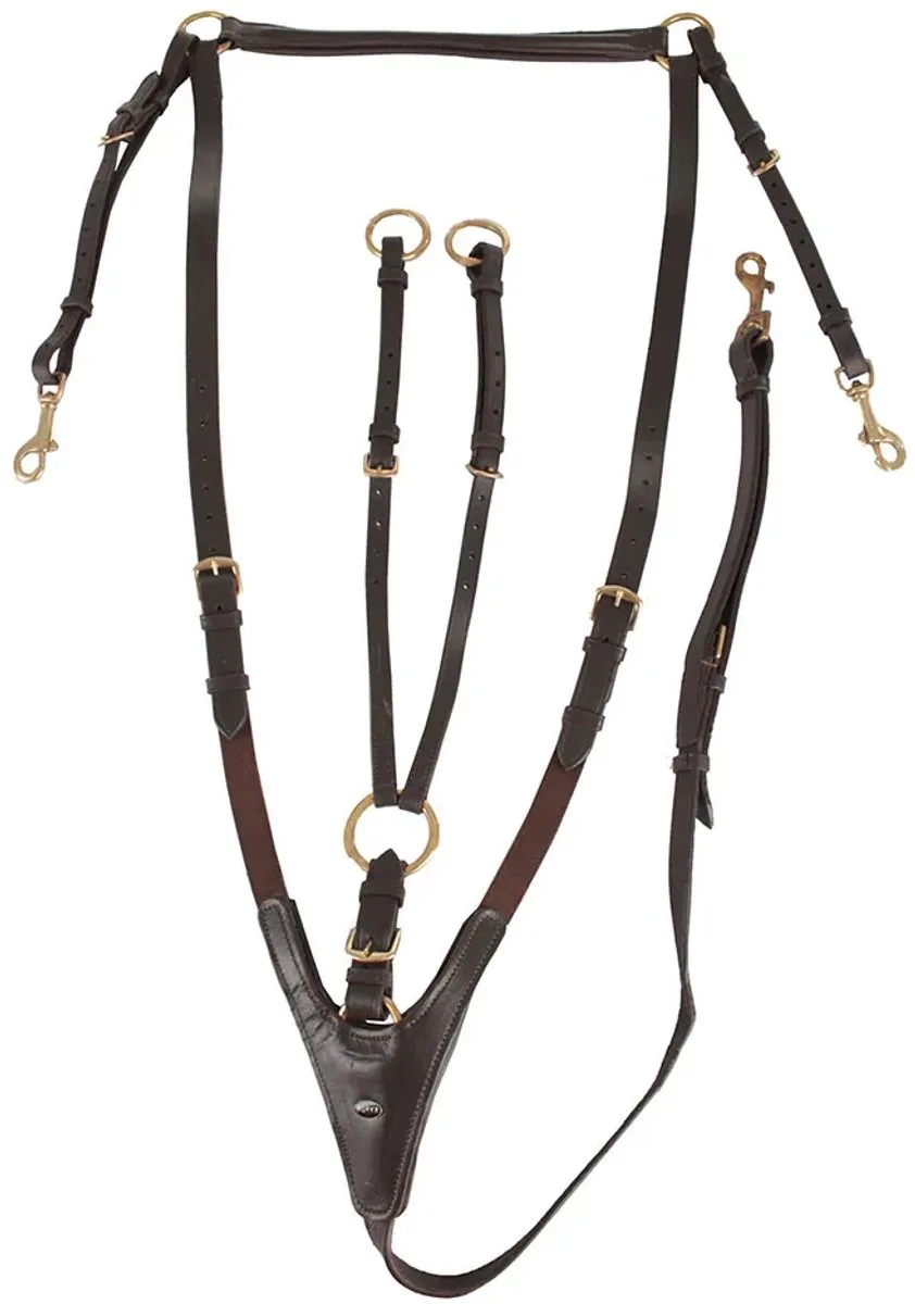 JACHTVOORTUIG PONY de Horka en Marron, Or – photo produit