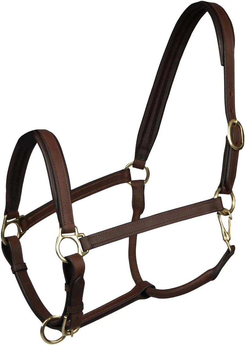 Leren halster voor paarden Horka Stockholm by Horka in Brown – product photo