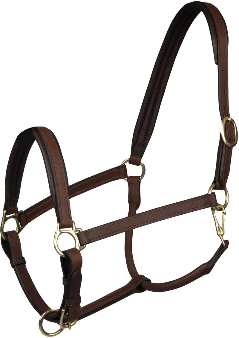 Leren halster voor paarden Horka Stockholm de Horka en Marron, Or – photo produit