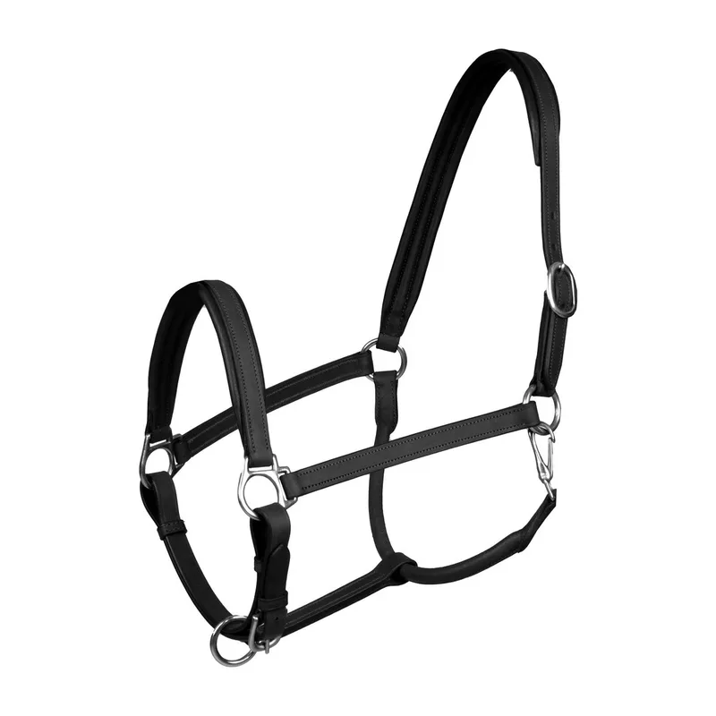 Leren halster voor paarden Horka Stockholm von Horka in Schwarz, Silber – Produktfoto