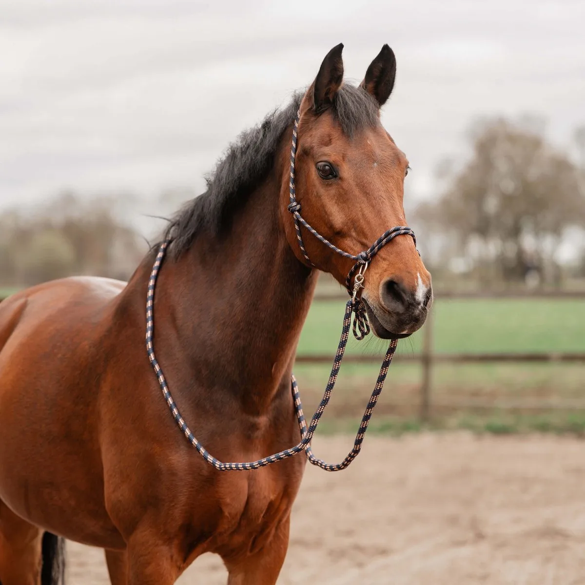 Touwhalsterset 2 Kleuren de Horka en Bleu – photo produit