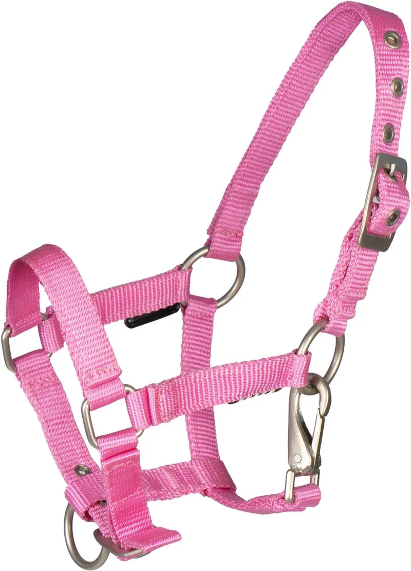 VEULEN HALTER MET CLIP | Pony by Horka in Hot pink – product photo