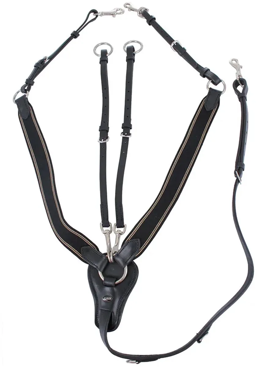 Voortuig Elastisch Maat Cob de Horka en Noir – photo produit